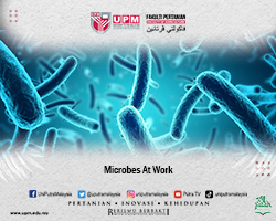 Microbes At Work