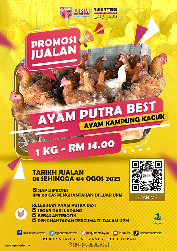 Banner Ayam Putra Best